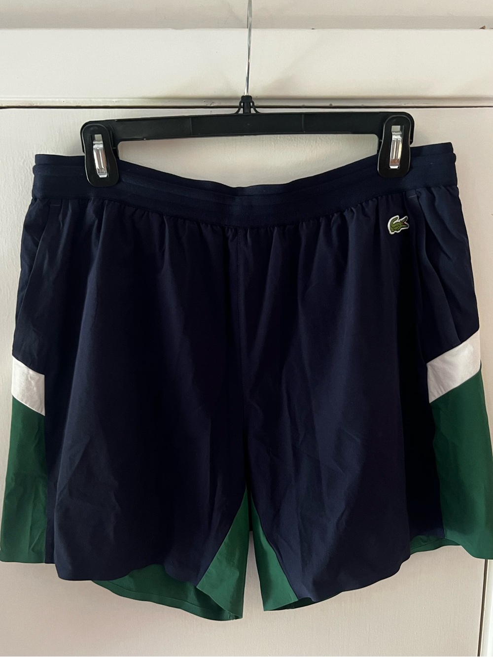 Lacoste Men's Navy & Green Swim Shorts